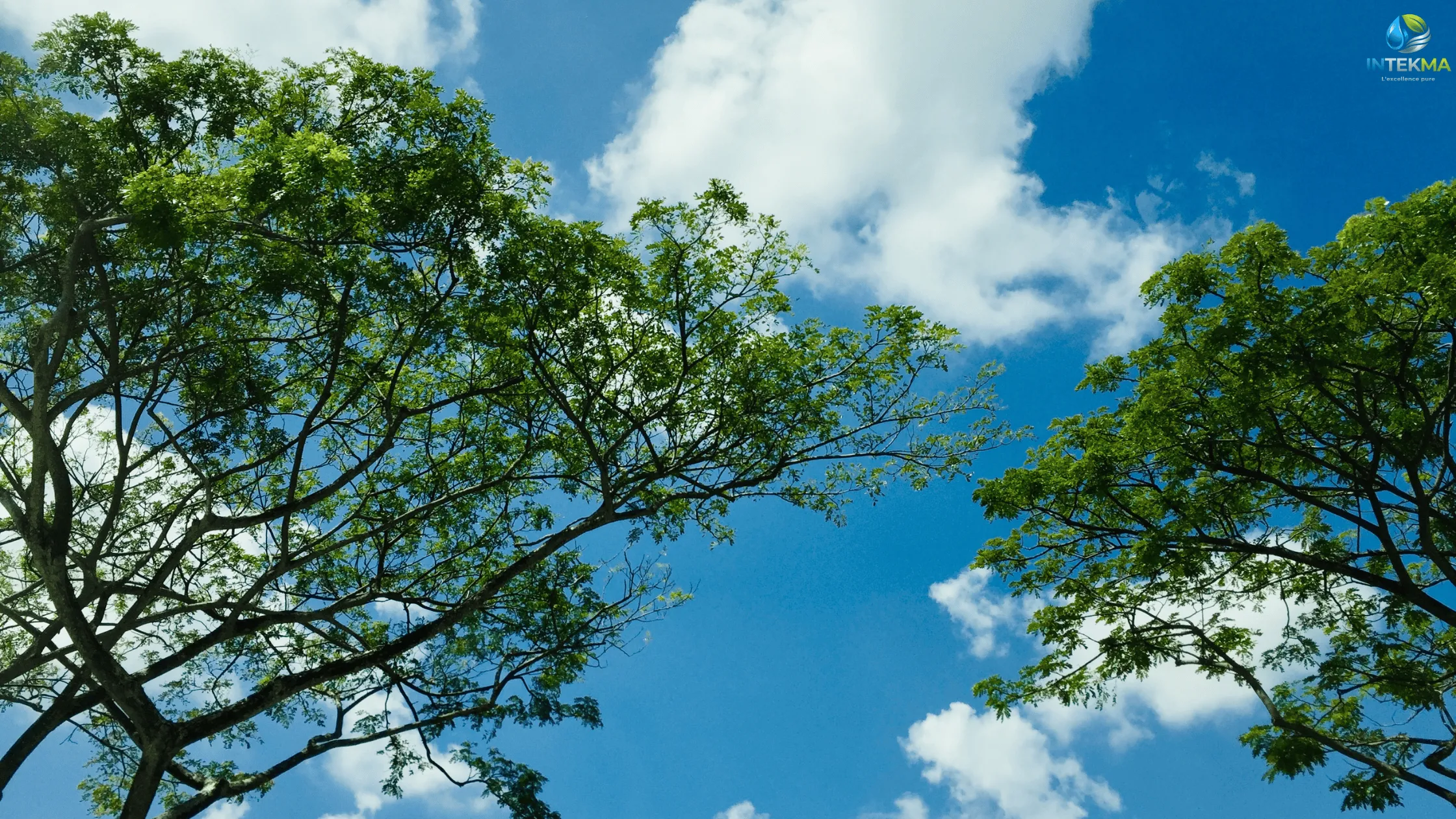 Bioclimatisation : La Solution Économique et Écologique pour Rafraîchir vos Grands Espaces | Intekma