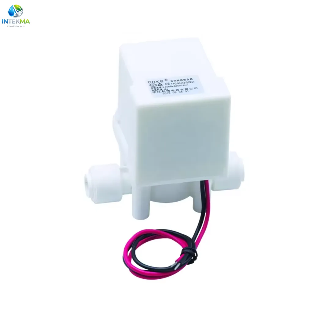 Électrovanne d'Auto-Rinçage Automatique - Restricteur 300cc Intégré - Raccords 1/4