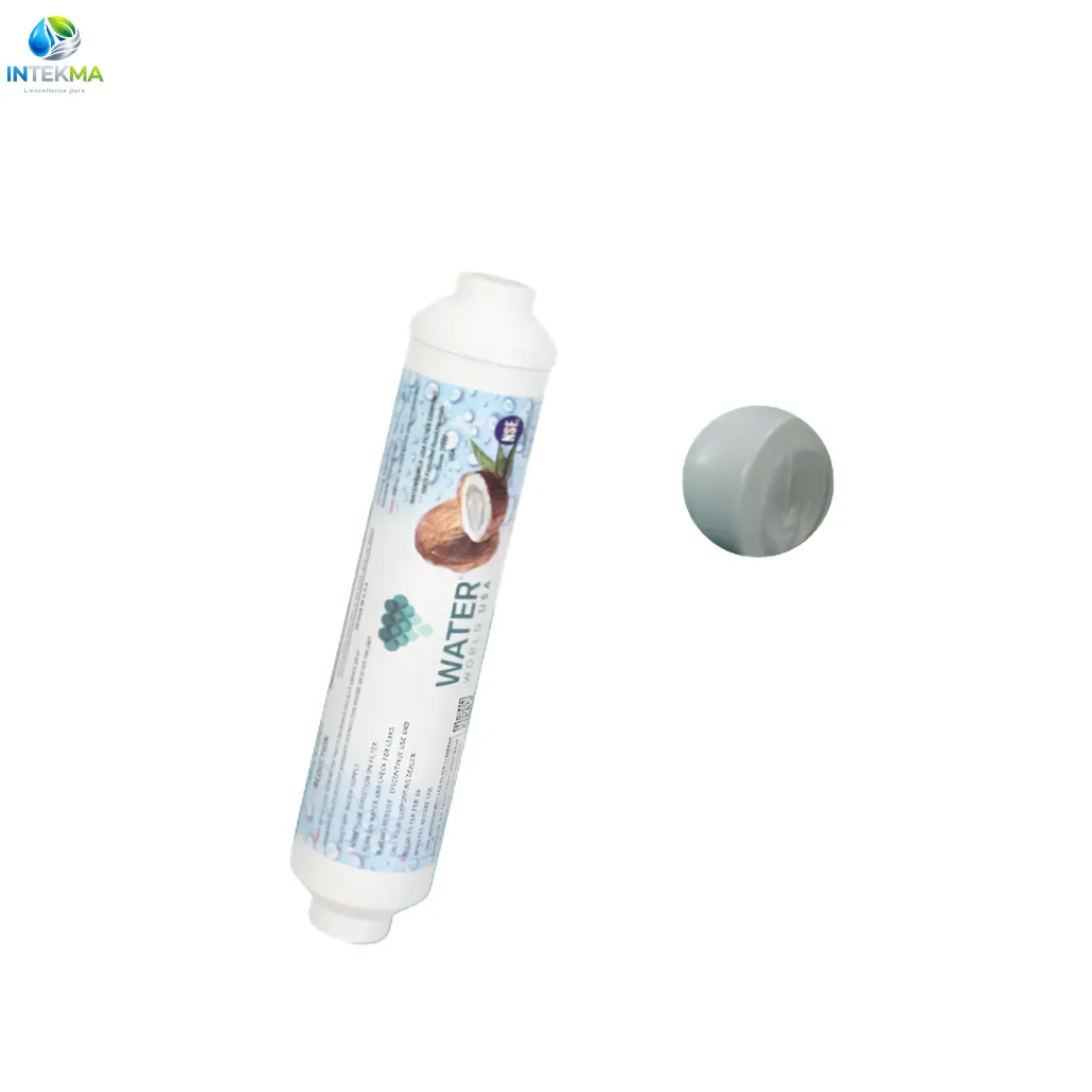 Cartouche de Filtre à Charbon Actif en Ligne T-33 pour Post-Membrane - INTEKMA Consommable