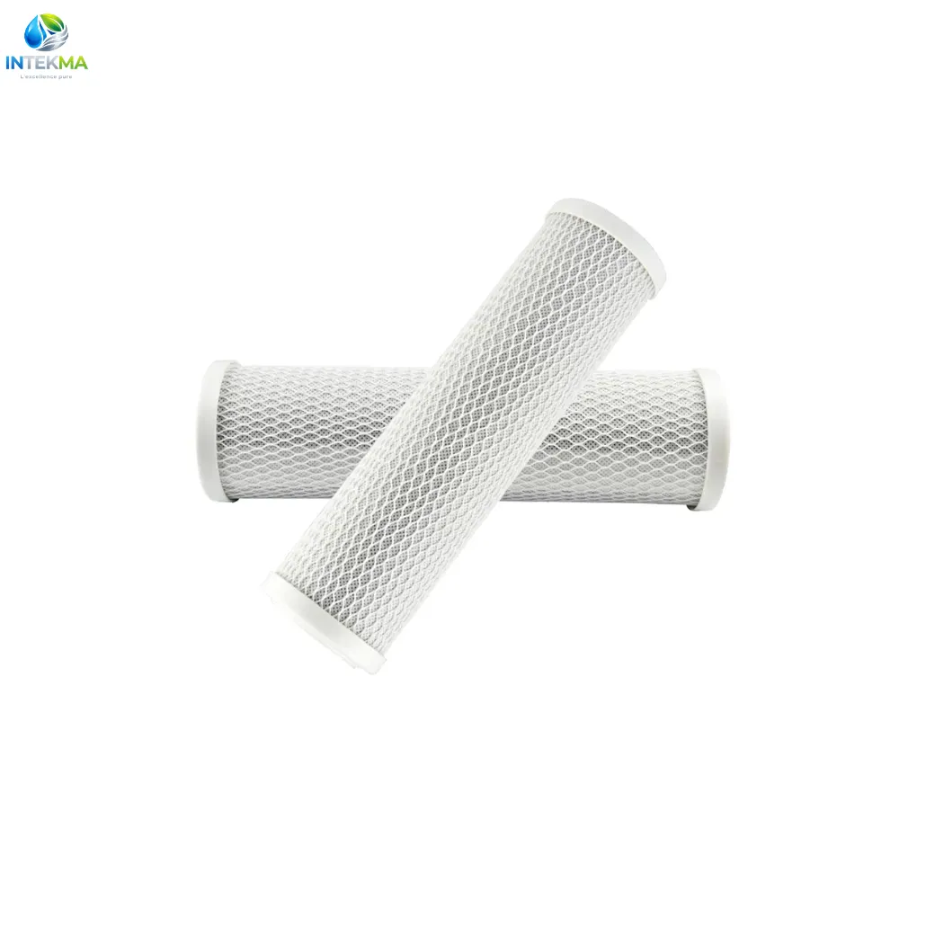 Cartouche de Filtre à Charbon Bloc Extrudé CTO 10 Pouces - Étape de Finition Pré-Membrane - INTEKMA Consommable